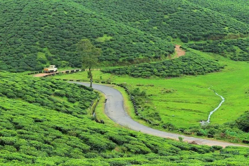 Bangalore to Munnar Tour Package