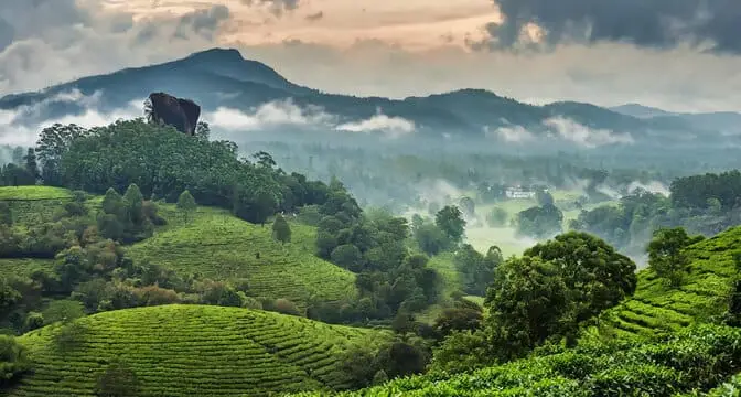 Madikeri / Coorg